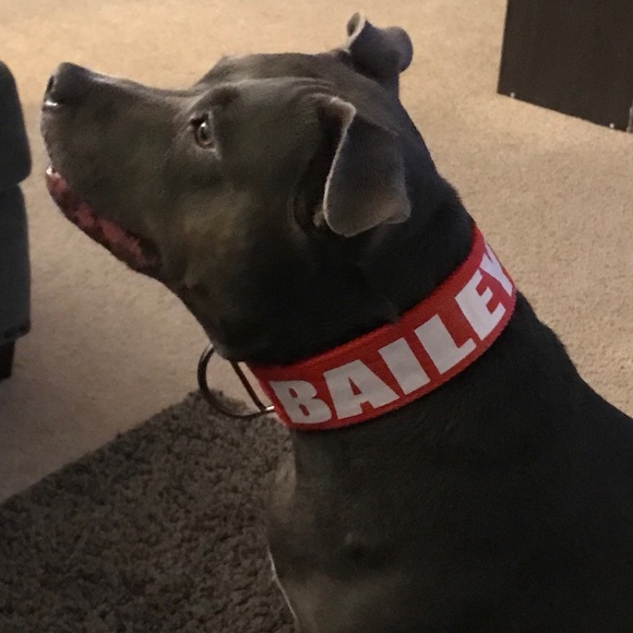 Custom Dog Collars! - Picture 2 of 8